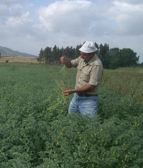 Agricoltura, l’Anci: «I fondi per il Psr sono insufficienti»