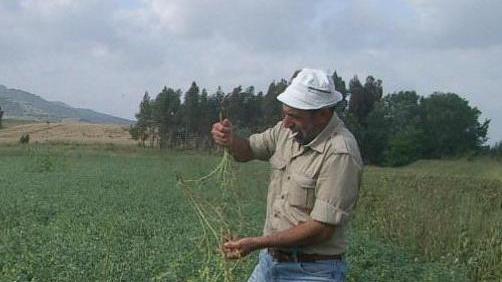 Agricoltura, l’Anci: «I fondi per il Psr sono insufficienti»
