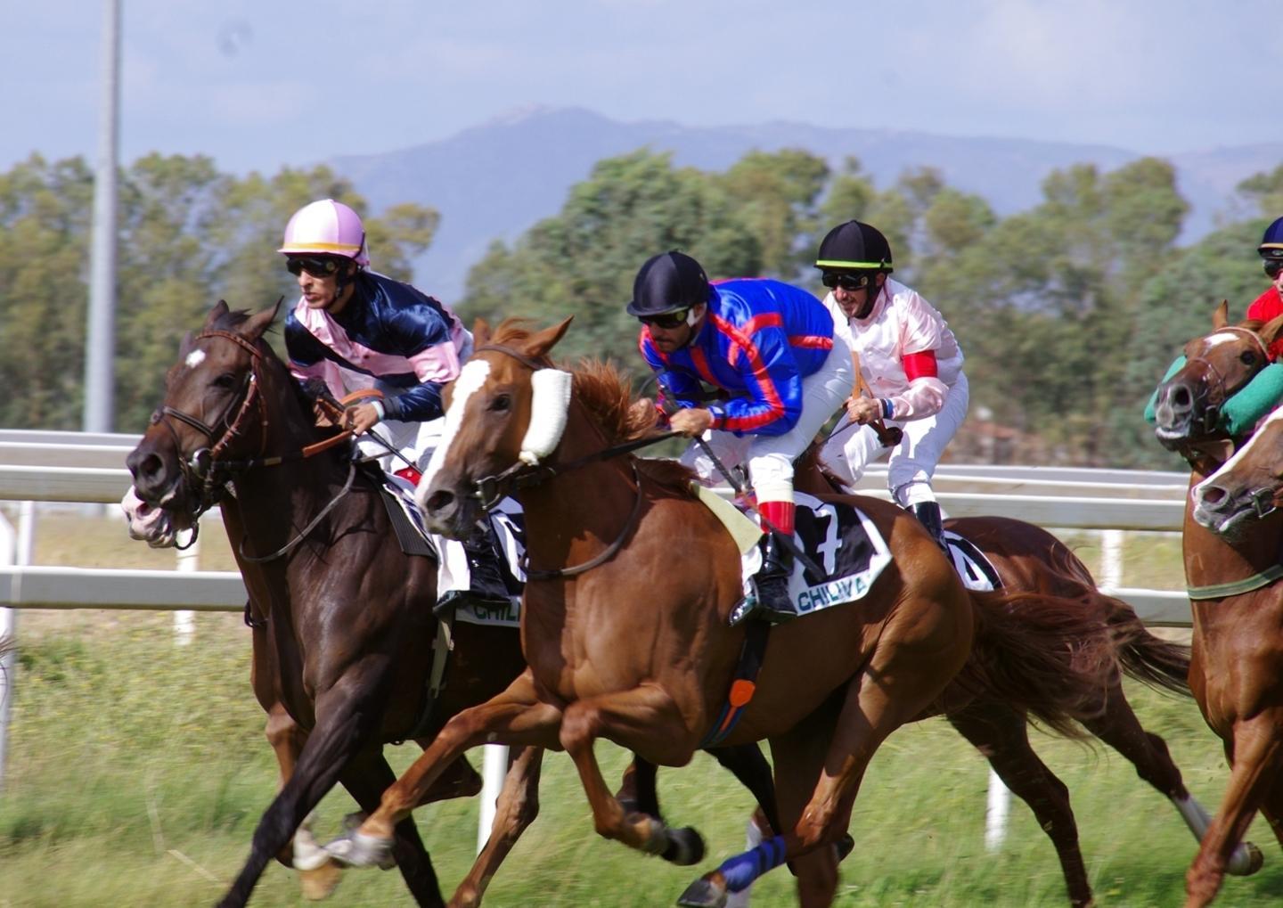 Chilivani, corse e cavalli ma poche scommesse 