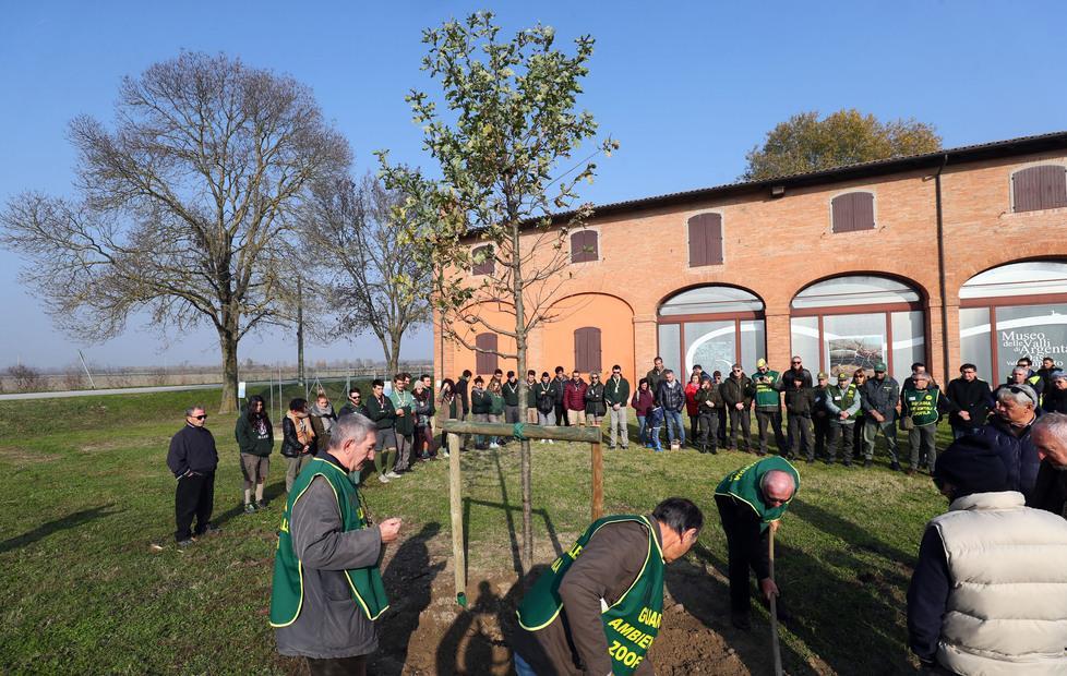 Sul Parco del Delta Pd e M5S vanno d’accordo 