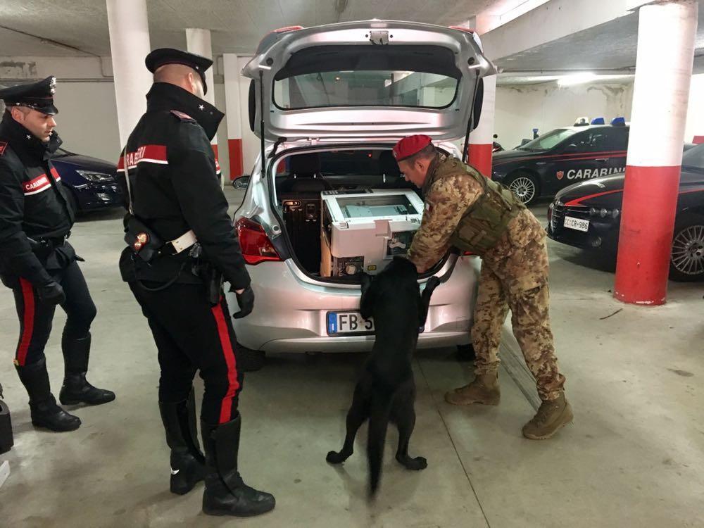 Maxi sequestro di droga a Olbia: quasi 6 chili di cocaina, valore 700mila euro