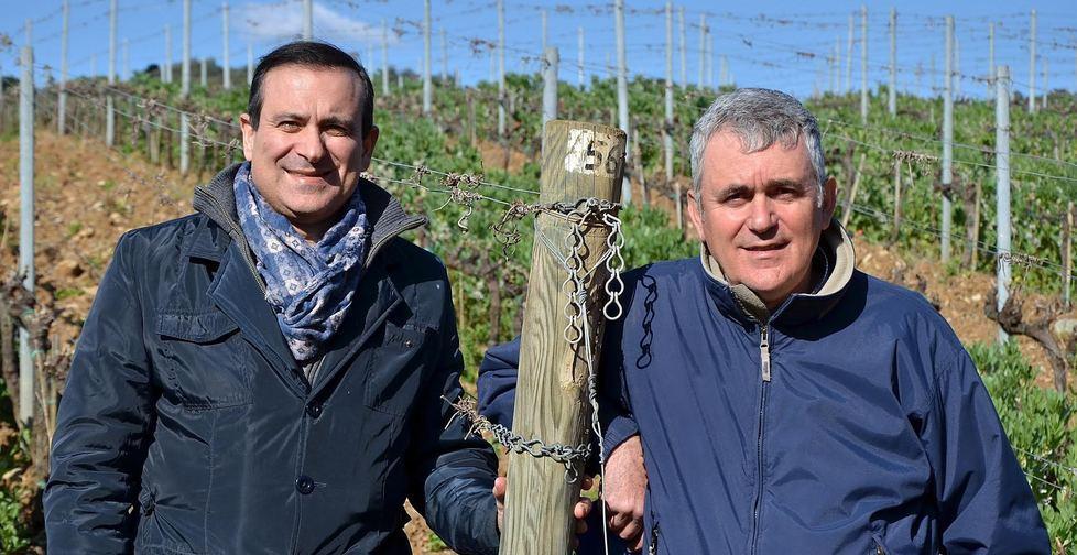 È festa alla Regola, 20 anni del suo Cru 