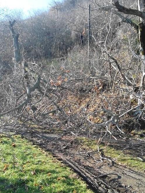 Montieri riscopre Il Piano e l’antica via invasa da sterpaglie 