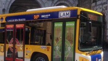 «La Lam blu è efficiente e puntuale»
