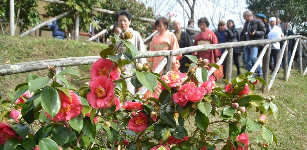 Camelie: la mostra quest’anno durerà tre giorni in più 