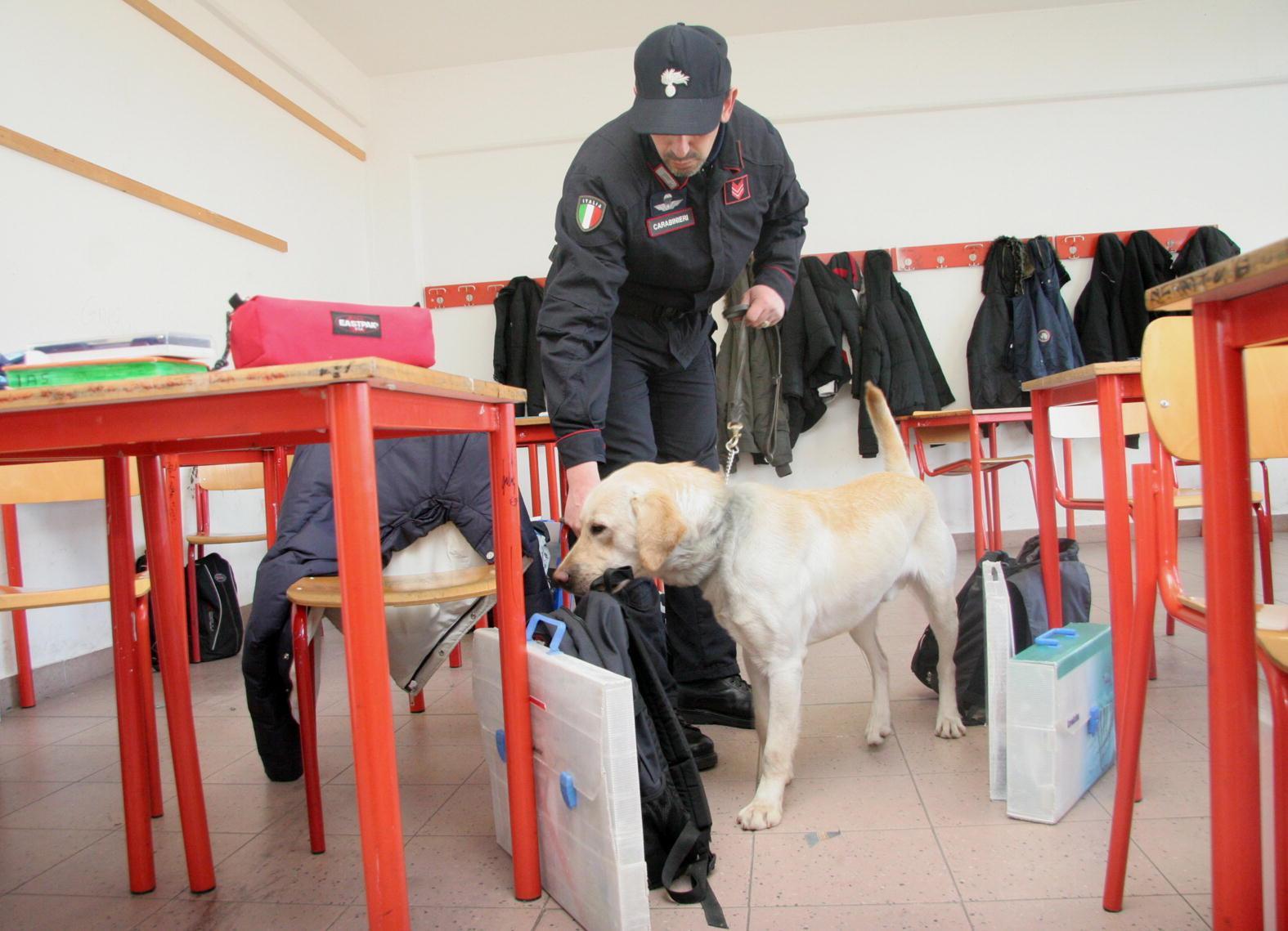 A tredici anni porta la marijuana in classe: scoperta delle insegnanti