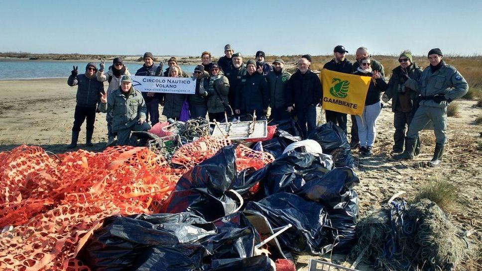 Spiaggia pulita, il fratino può nidificare
