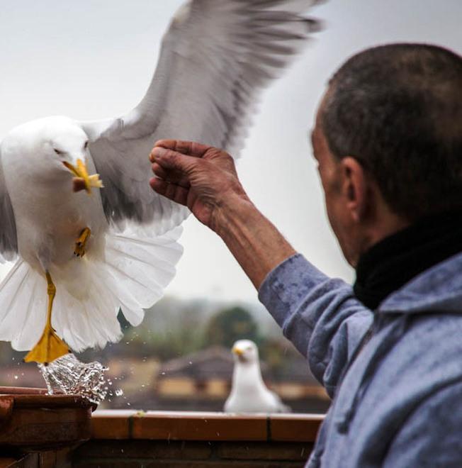 Un concorso fotografico in memoria di Ferroni 
