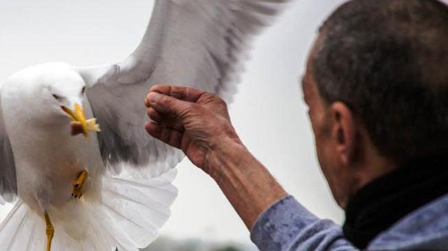 Un concorso fotografico in memoria di Ferroni