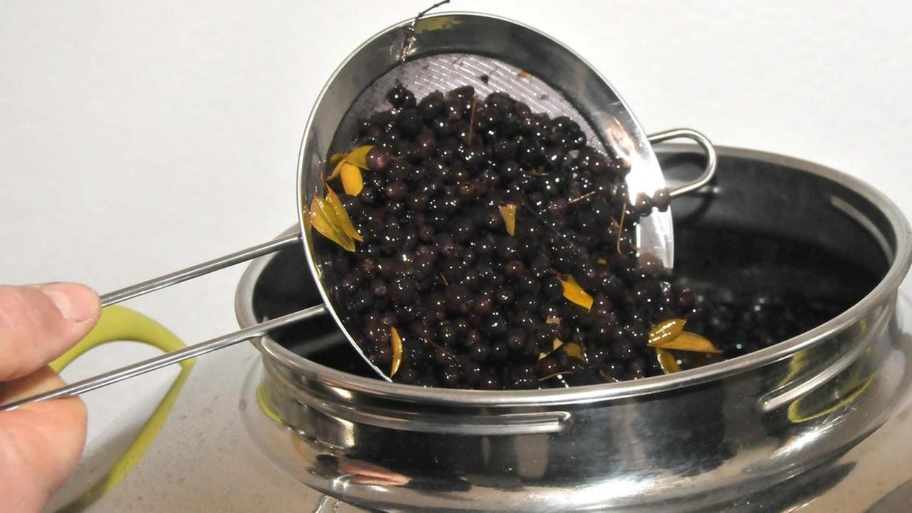 Mirto, spirito fiero e rude che ha resistito alla crisi
