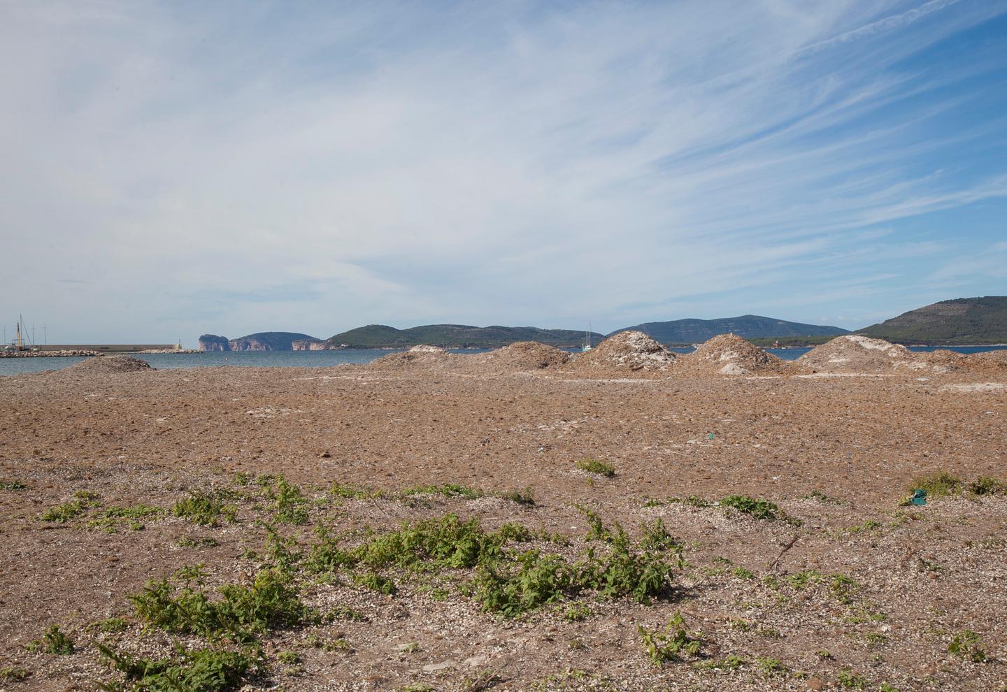 Posidonia sulle spiagge? Basta affondarla al largo 