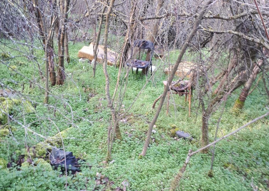 Legambiente: «Il bosco di via Clementi è una discarica»