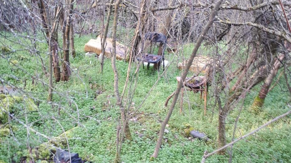 Legambiente: «Il bosco di via Clementi è una discarica»