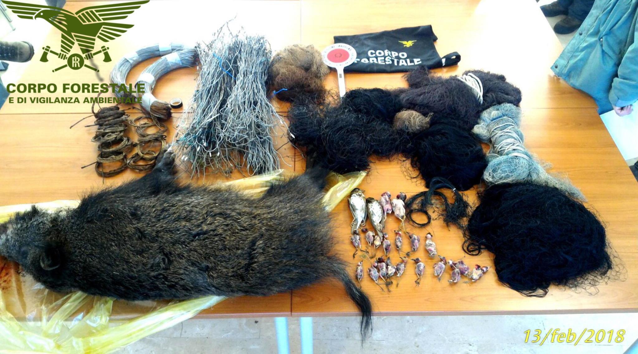 Fanno morire di fame un cervo catturandolo con un laccio, denunciati in quattro