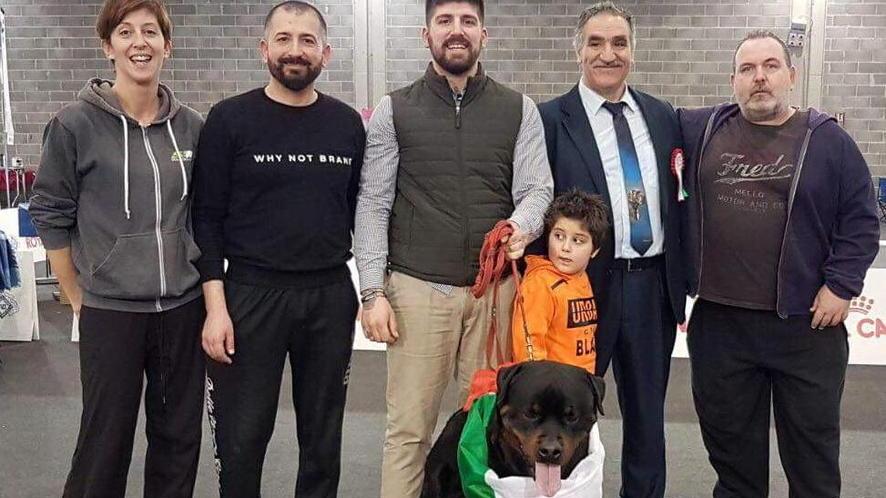 Klaus è il rottweiler più bello d’Italia