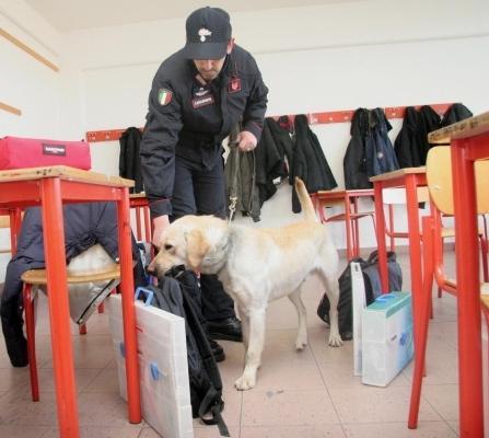 Genitori chiedono risposte sul caso marijuana a scuola 