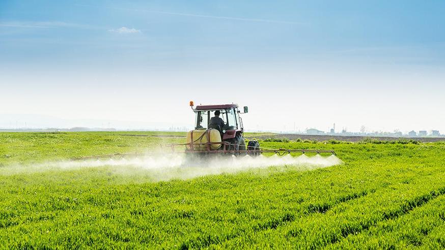 Siccità e caldo i killer Allarme di Coldiretti