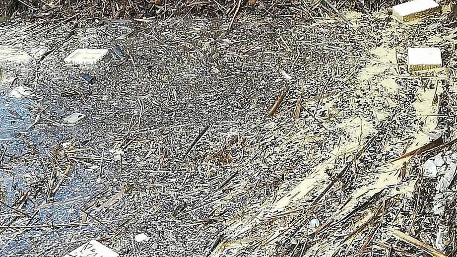 Troppi rifiuti nell’alveo del fosso