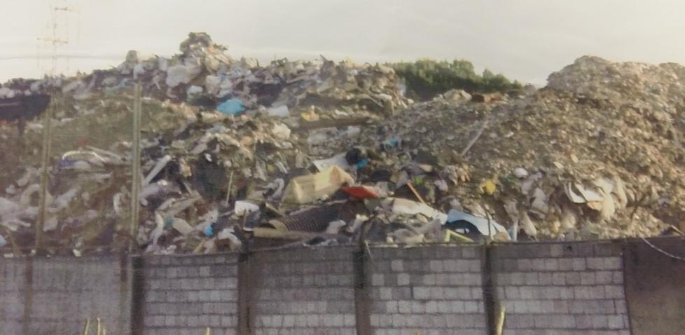 In 20 ispezioni dell’Arpat Lonzi sempre fuori regola 