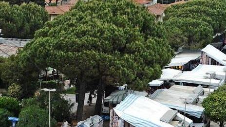 Marina, raccolte 500 firme per non spostare i banchi