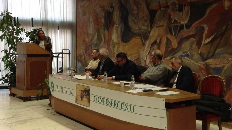 «Ambulanti, differenziamo le situazioni»