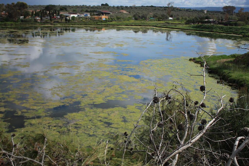 Lo stagno del Calich ad Alghero