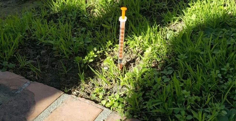 Siringa nel parco accanto alla Misericordia