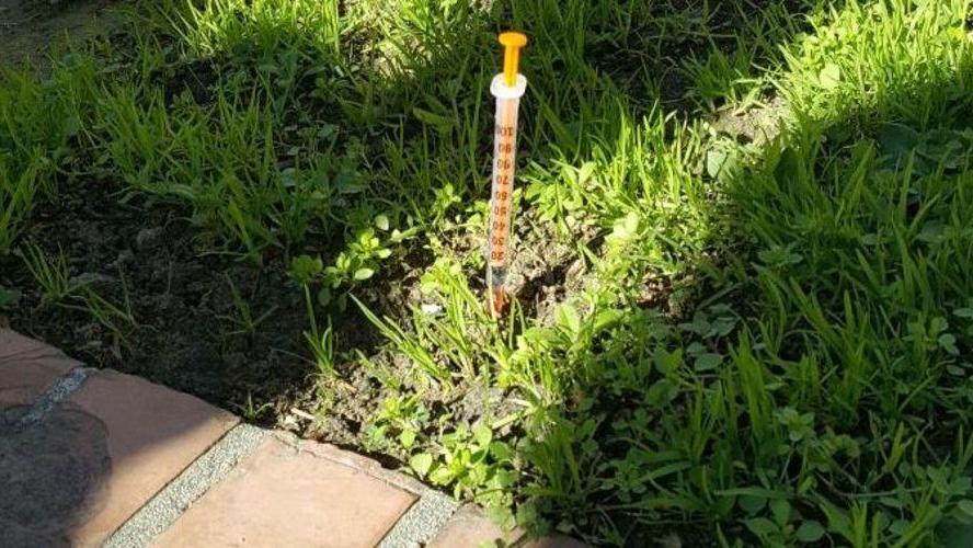 Siringa nel parco accanto alla Misericordia