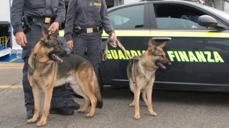 Avevano droga in tasca: scoperti dai cani