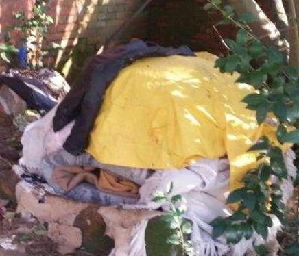 Servizi sociali per il clochard al parco 