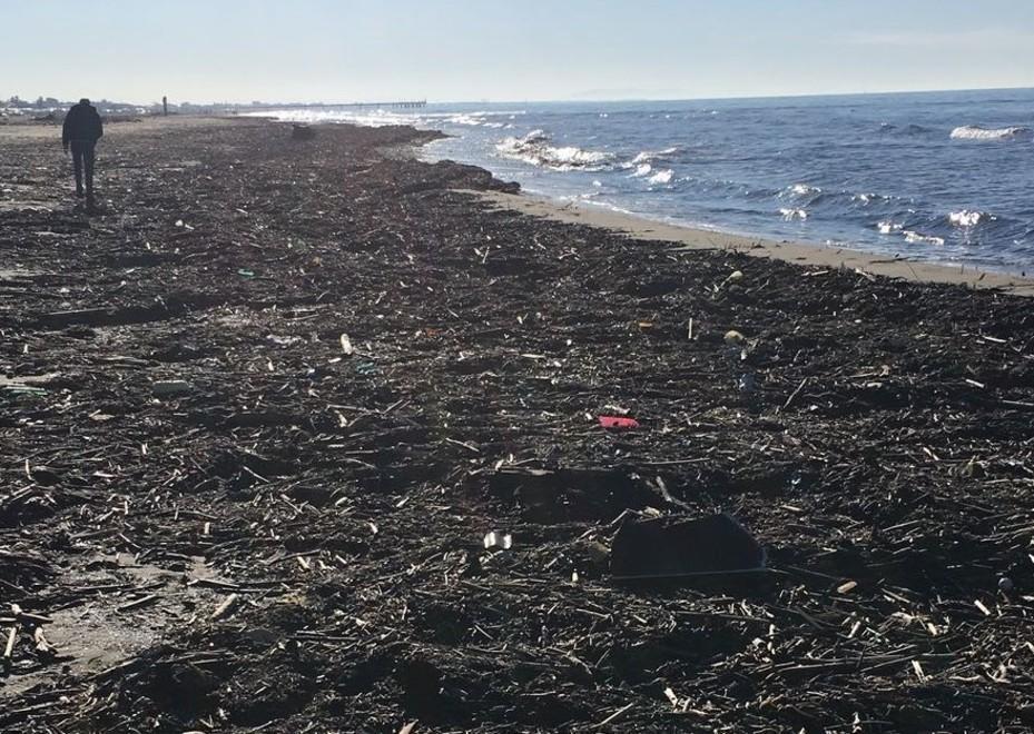 Spiaggia di nuovo invasa da lavarone e rifiuti