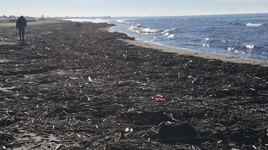 Spiaggia di nuovo invasa da lavarone e rifiuti