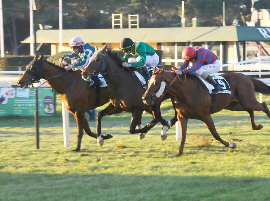 San Rossore, sei corse e il circuito Sprinter 