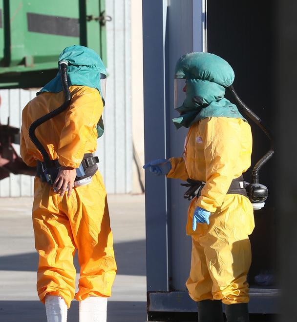 Aviaria, via agli indennizzi dopo la strage di galline 