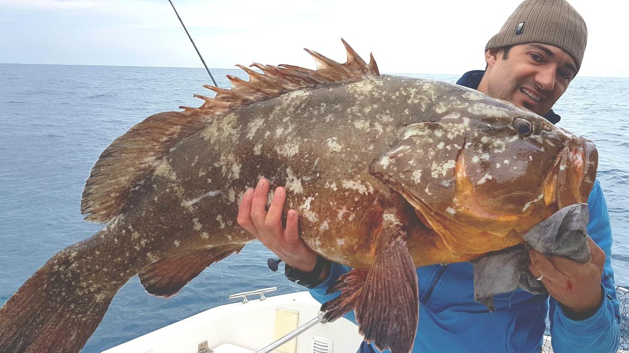 Pesca una cernia di 20 chili a tre miglia dalla costa