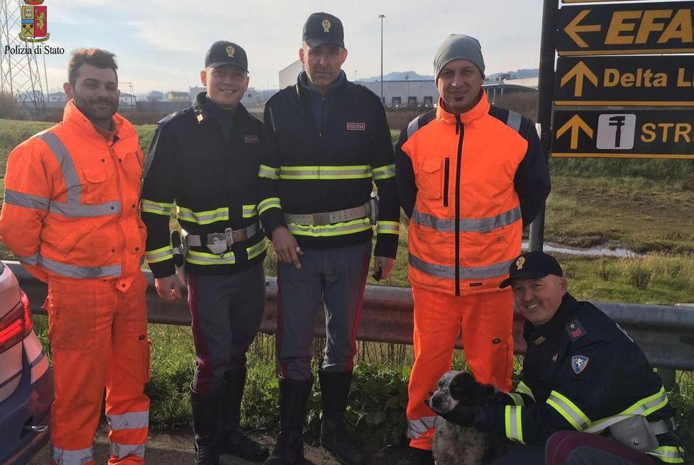 Cagnetta salvata da poliziotto maratoneta