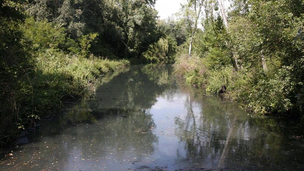 Lucci a rischio estinzione per la pesca di frodo