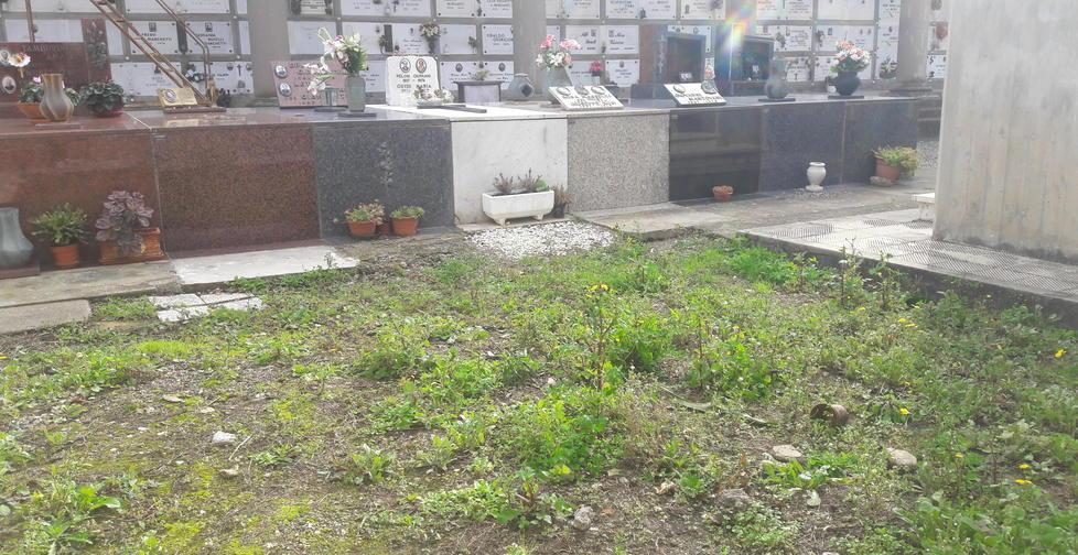 Proteste sul cimitero «Erba alta e sporco» 