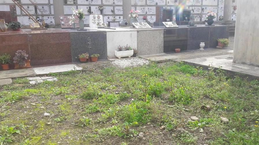 Proteste sul cimitero «Erba alta e sporco»