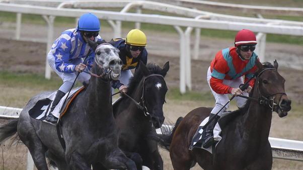 Ci sono ben 66 cavalli partenti all’ippodromo del Casalone