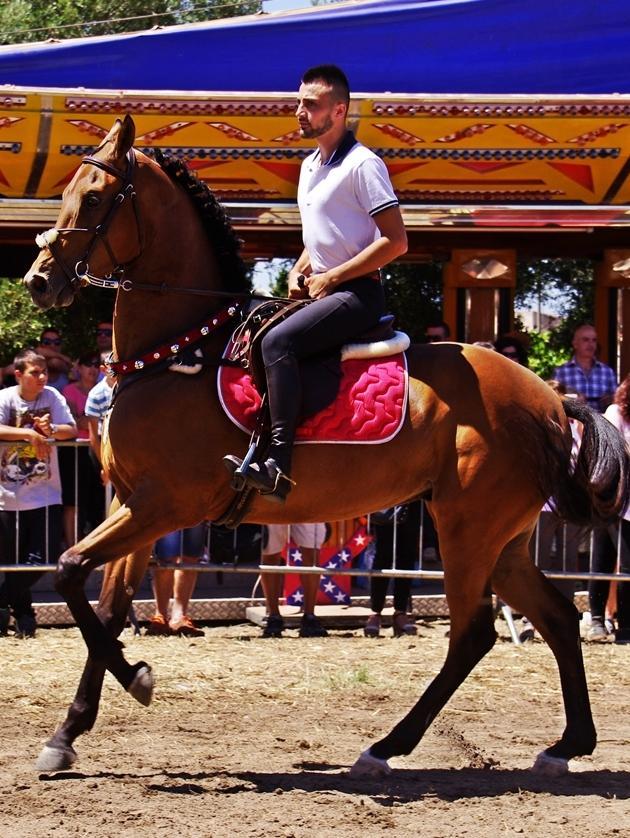 Unicuiroresu star anche del web 