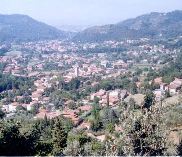 Stop a nuove case sulle colline del Camaiorese 