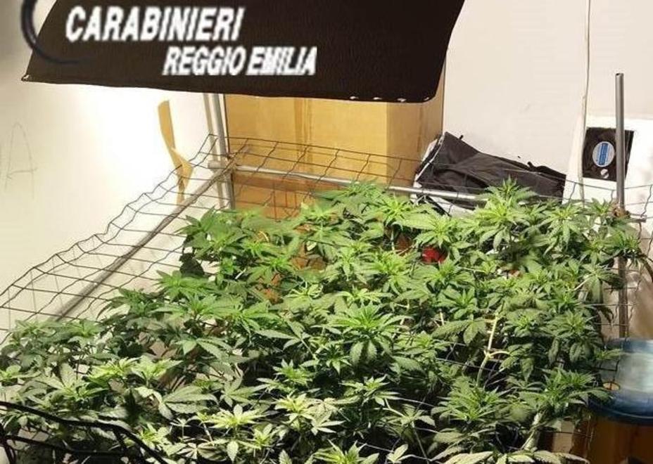 Prof arrestato con mezzo chilo di droga 