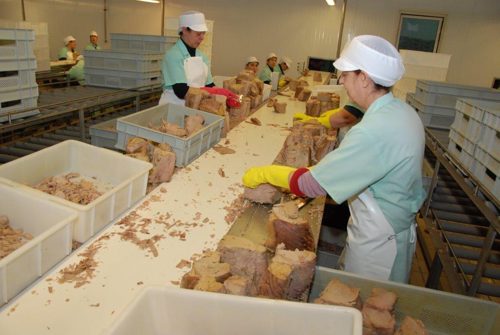Lavorazione del tonno alla Generale Conserve