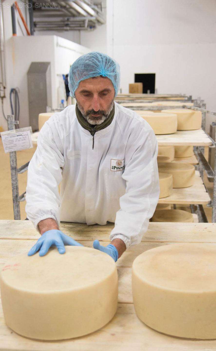 Lavorazione del formaggio alla Fratelli Pinna