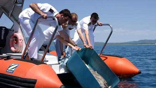 Sos tartarughe marine Info day a Castiglione dedicato ai pescatori