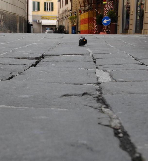 Tutto pronto per via Paglialunga 