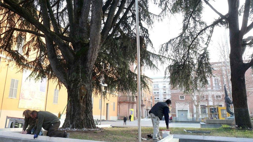 Installati dei pannelli “anti skate”