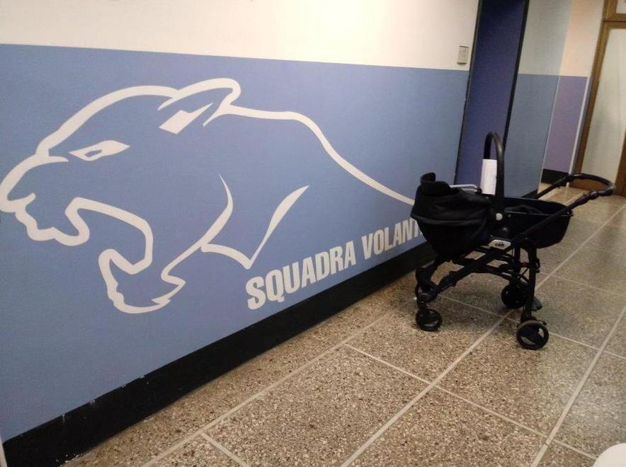 Si finge una mamma per rubare 