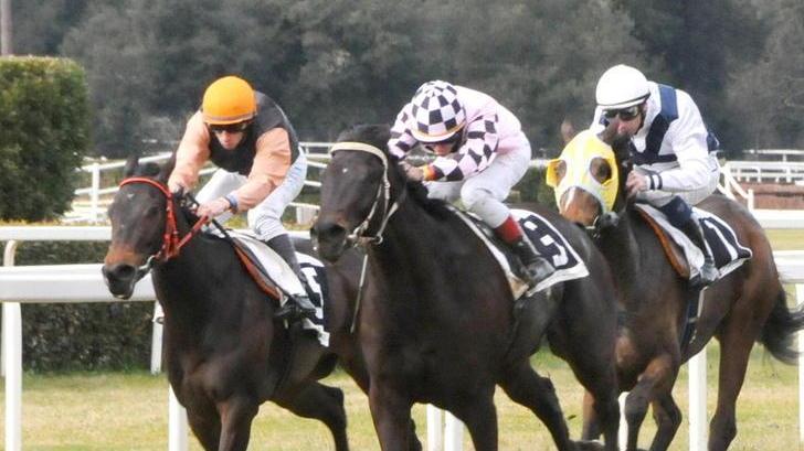 La Gran Corsa Siepi tra gli eventi di oggi a San Rossore